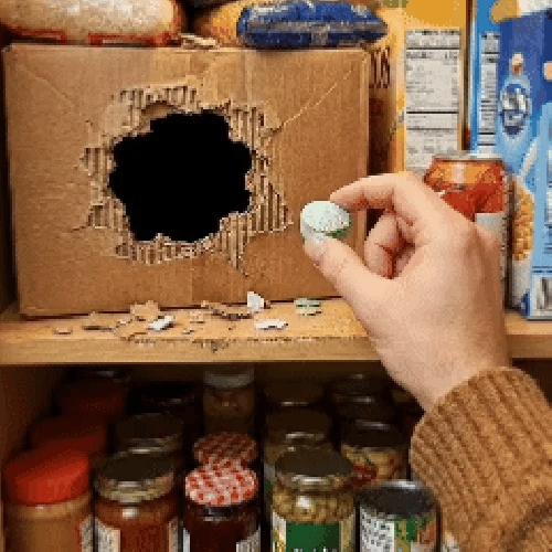 Rodent Repellent Balls